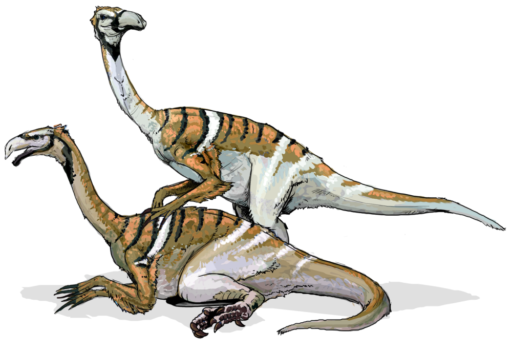 Alxasaurus elesitaiensis