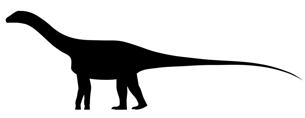 Neuquensaurus