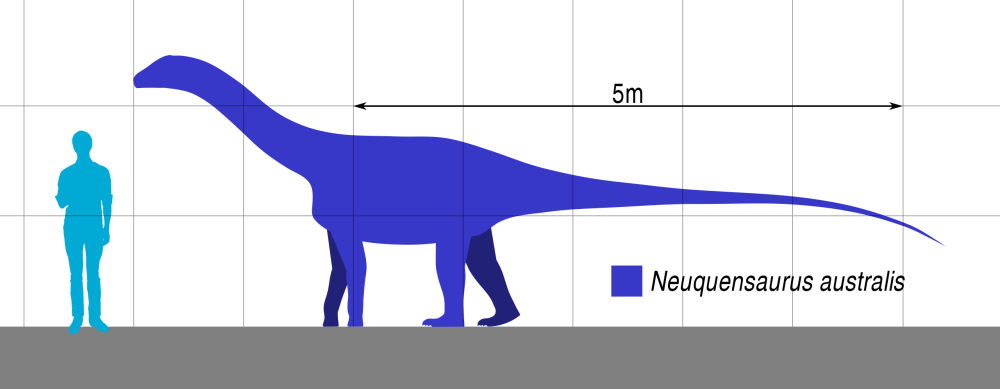 Laplatasaurus