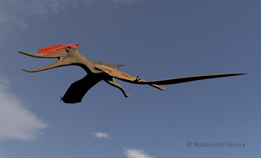 Dsungaripterus