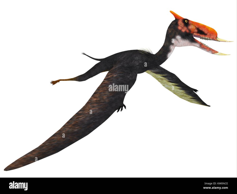 Dsungaripterus Witton
