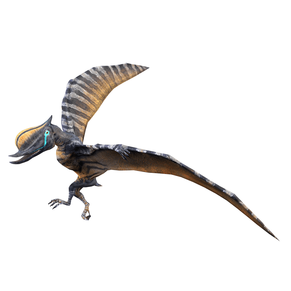 Dsungaripterus Witton