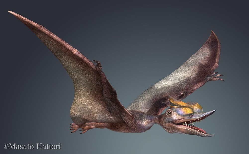 Джунгариптер Jurassic World