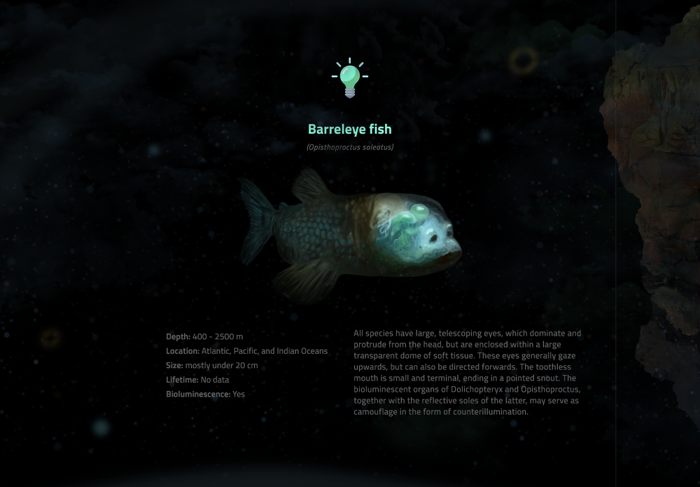 Barreleye Fish рыба