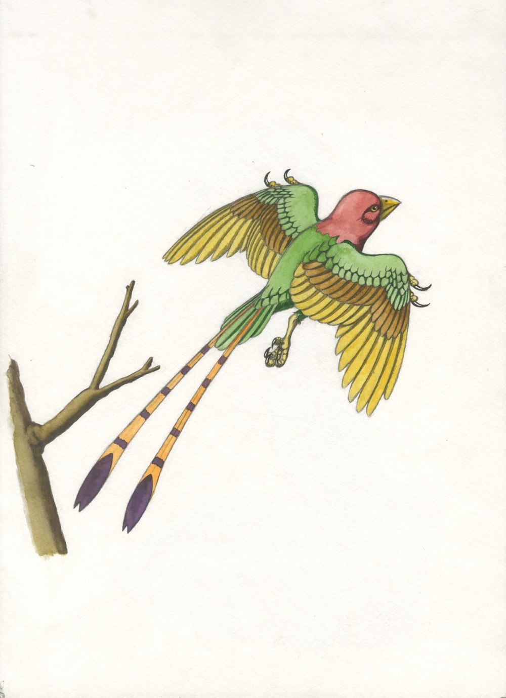 Confuciusornis Вымершия птичка