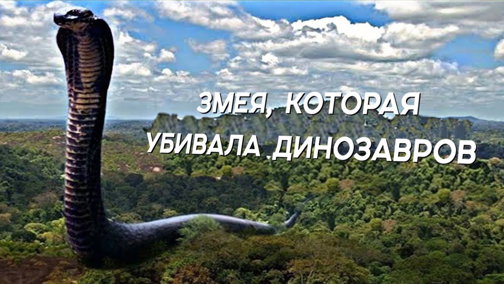 ТИТАНОБОА змея