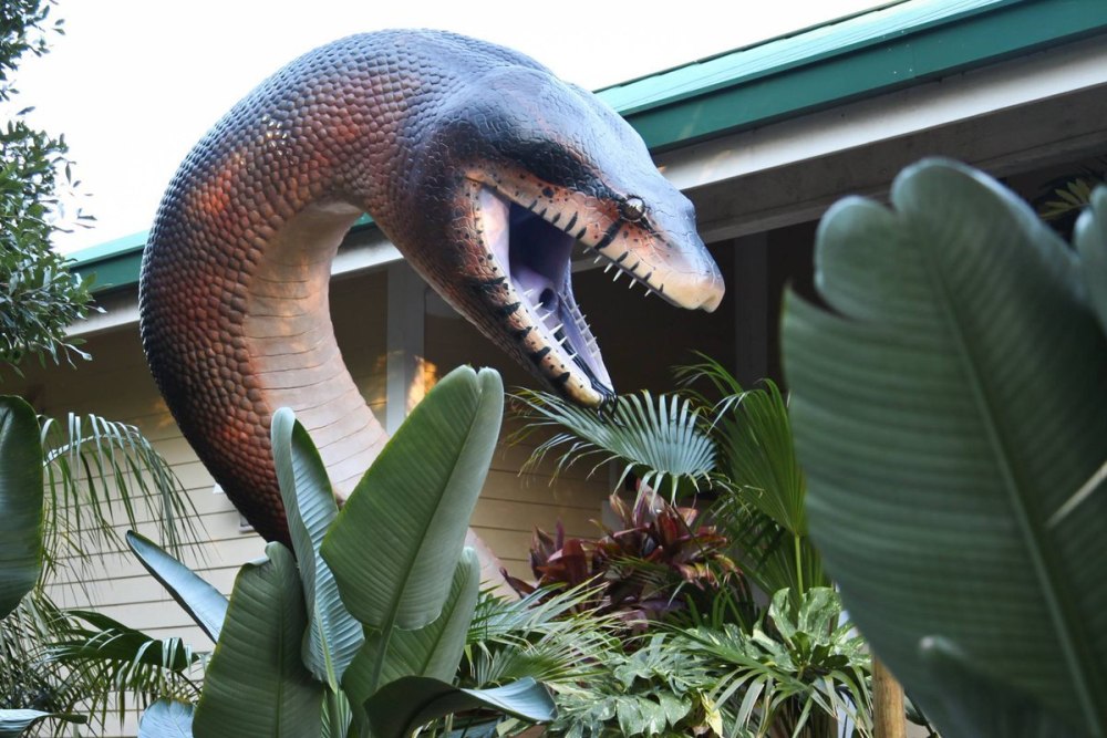 Titanoboa cerrejonensis
