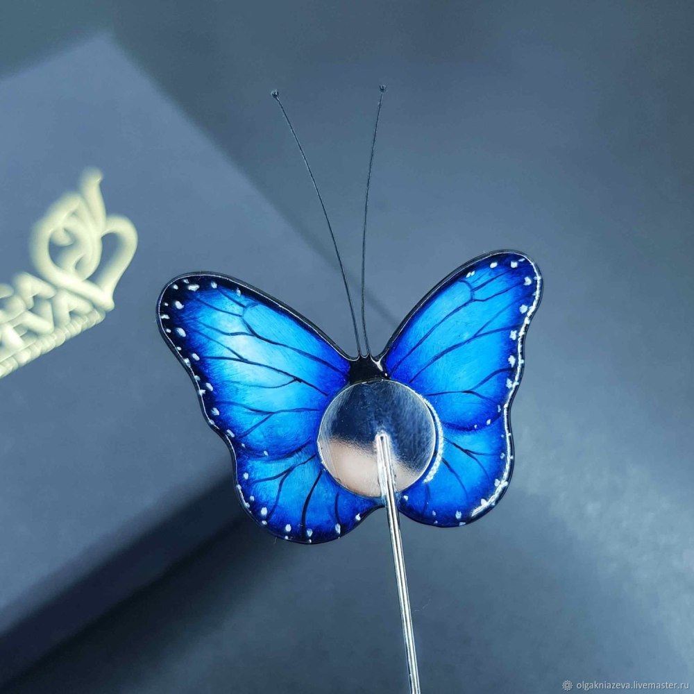 Голубая Ордынка бабочка размер