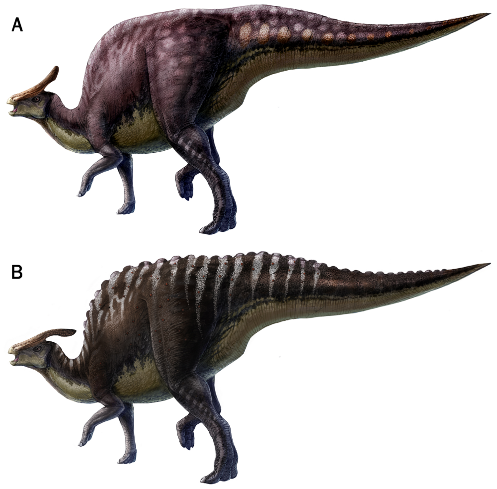 Динозавр Saurolophus