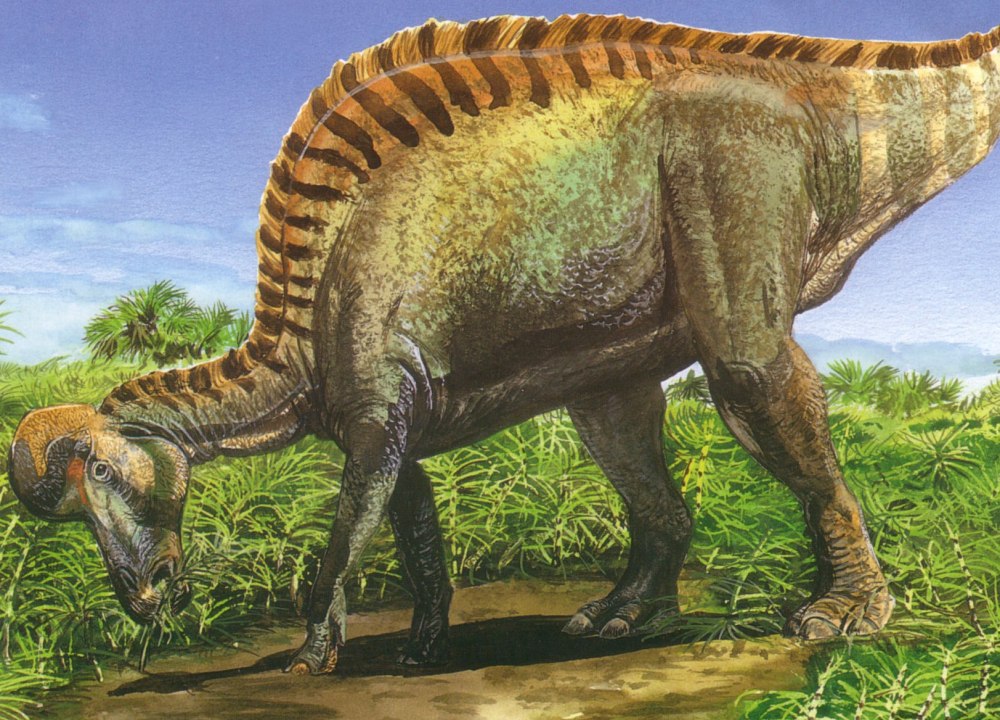 Коритозавр Jurassic Park