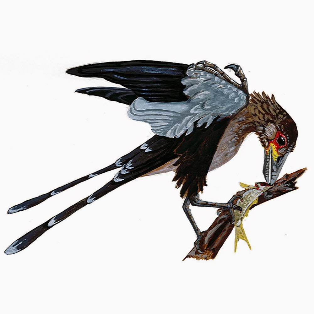 Confuciusornis Sanctus