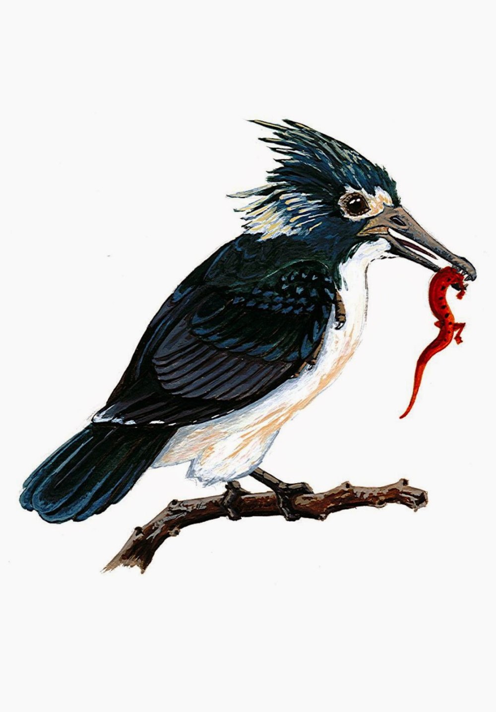 Longipteryx Chaoyangensis