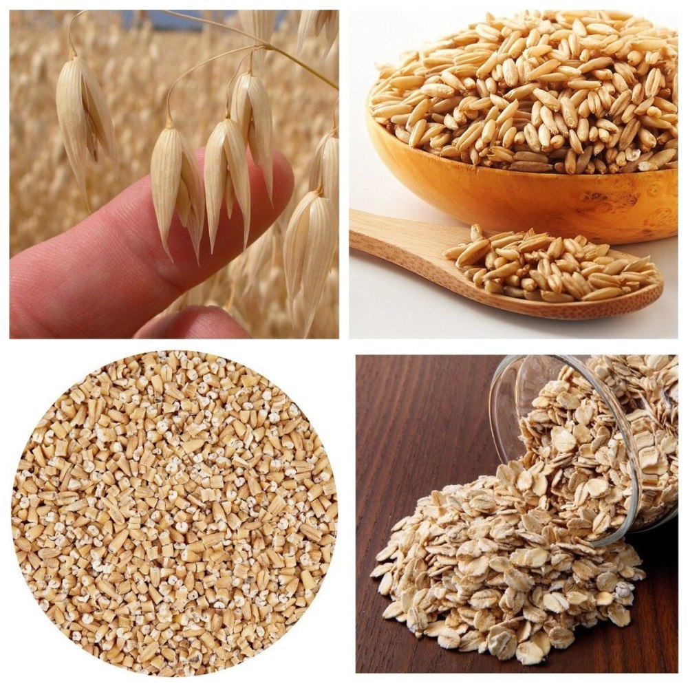 Овсянка дробленая