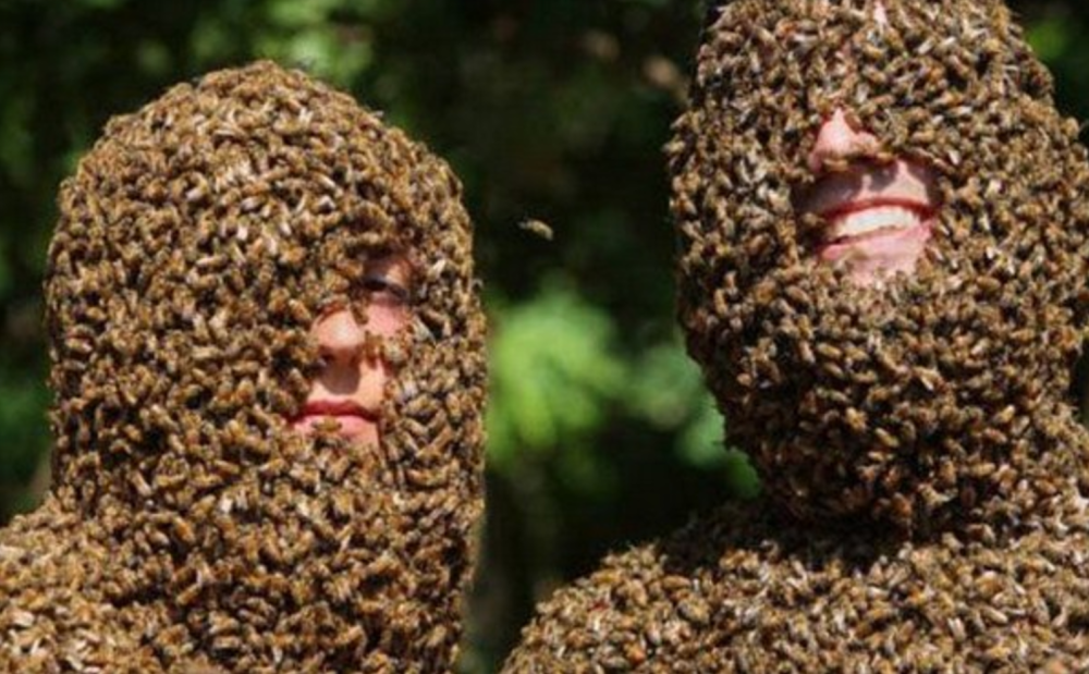 Смешной пчеловод