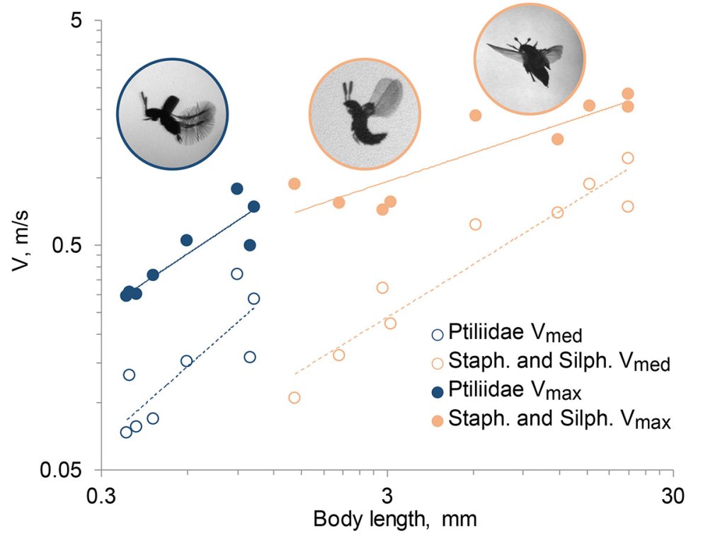 Механизм полёта Жуков схема