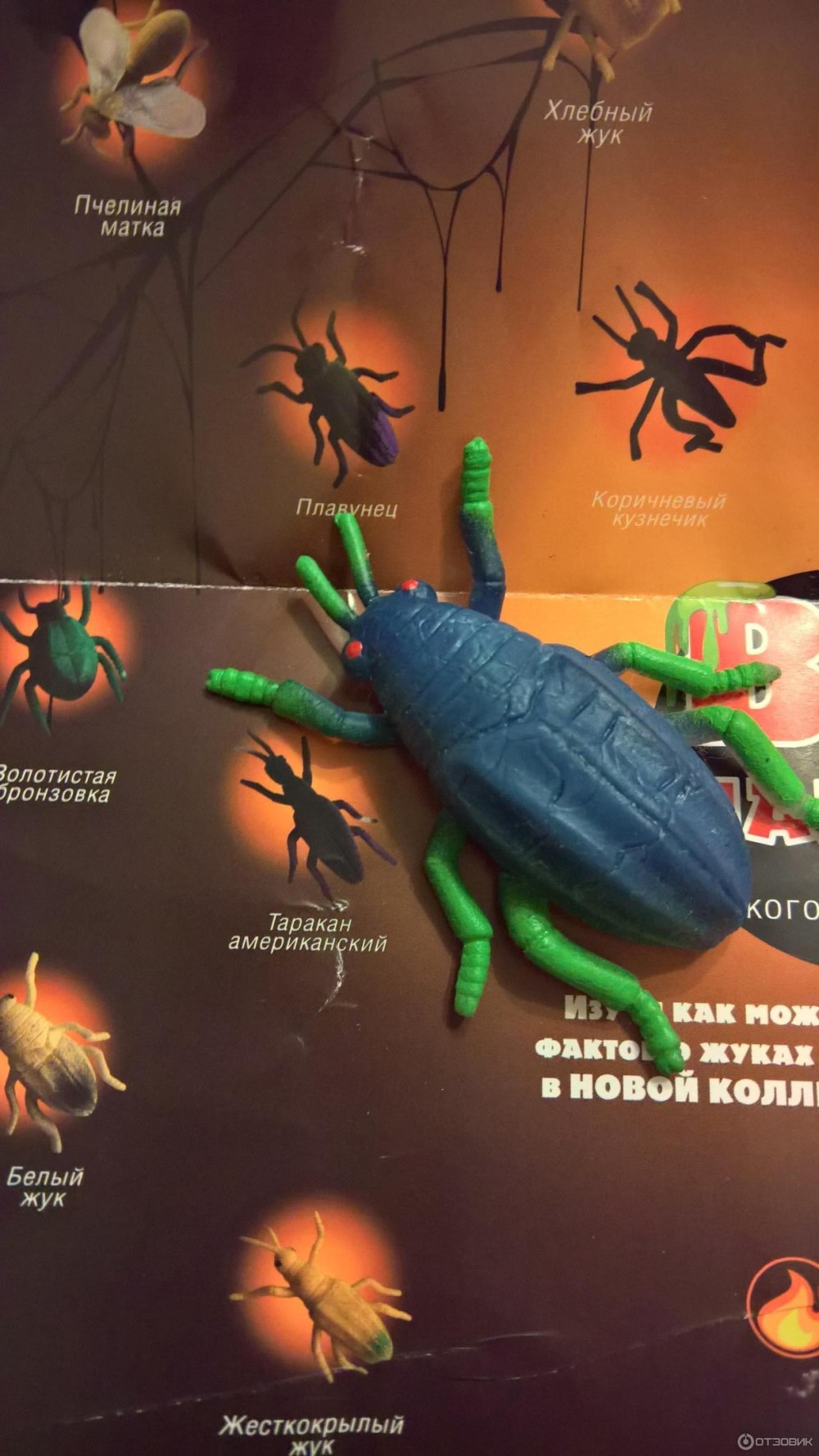 Big animal World жуки и Стрекозы