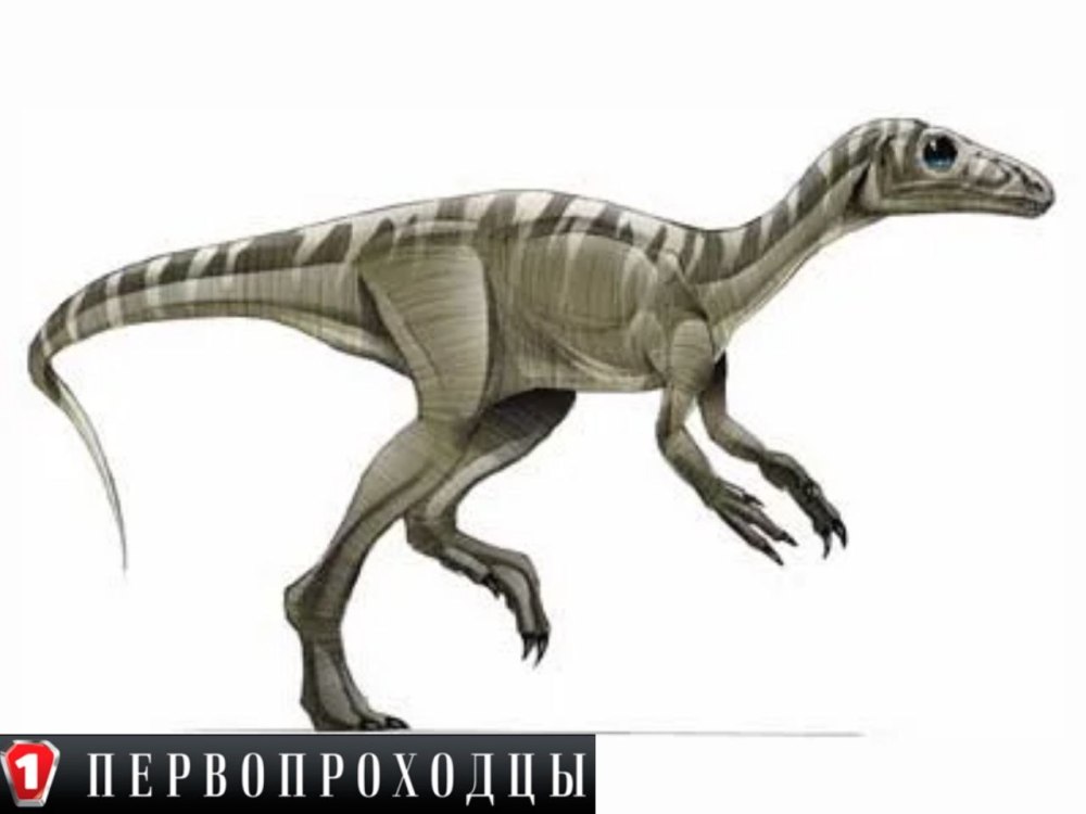 Эораптор Википедия