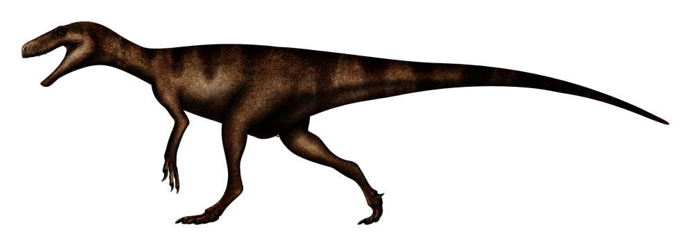 Nyasasaurus parringtoni