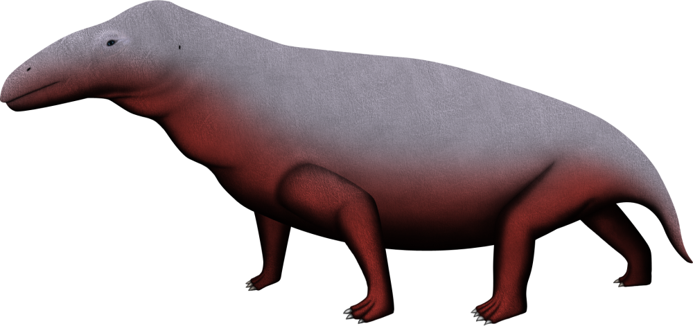 Tapinocephalus