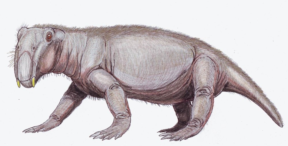 Листрозавры (Lystrosaurus),