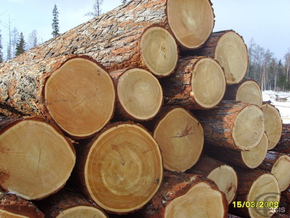Лес кругляк Пиловочник