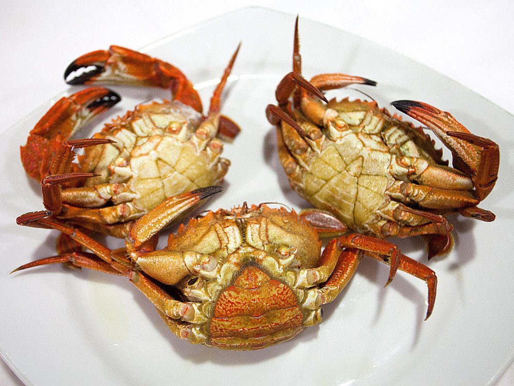 Плоские Крабы