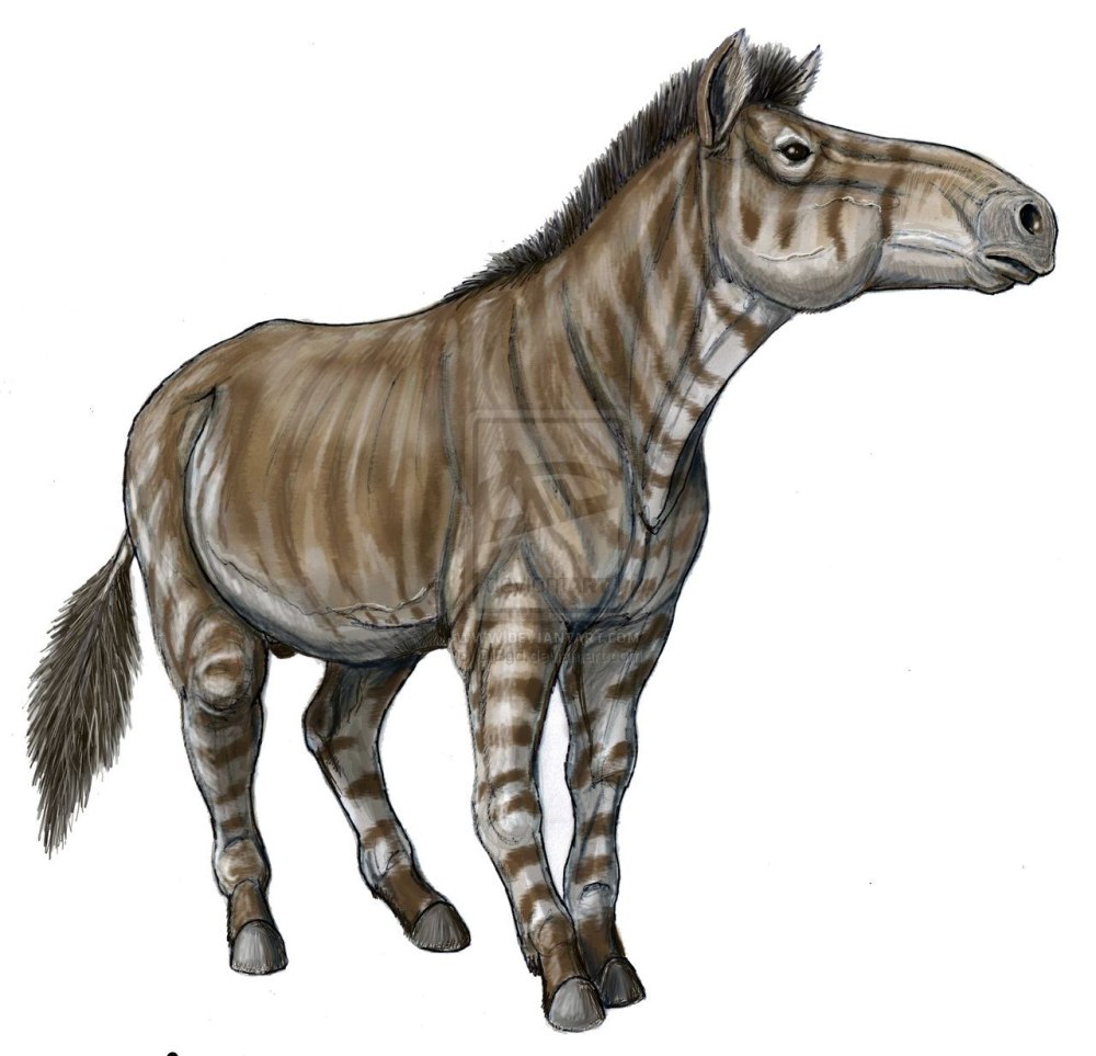 Equus stenonis — лошадь Стенона