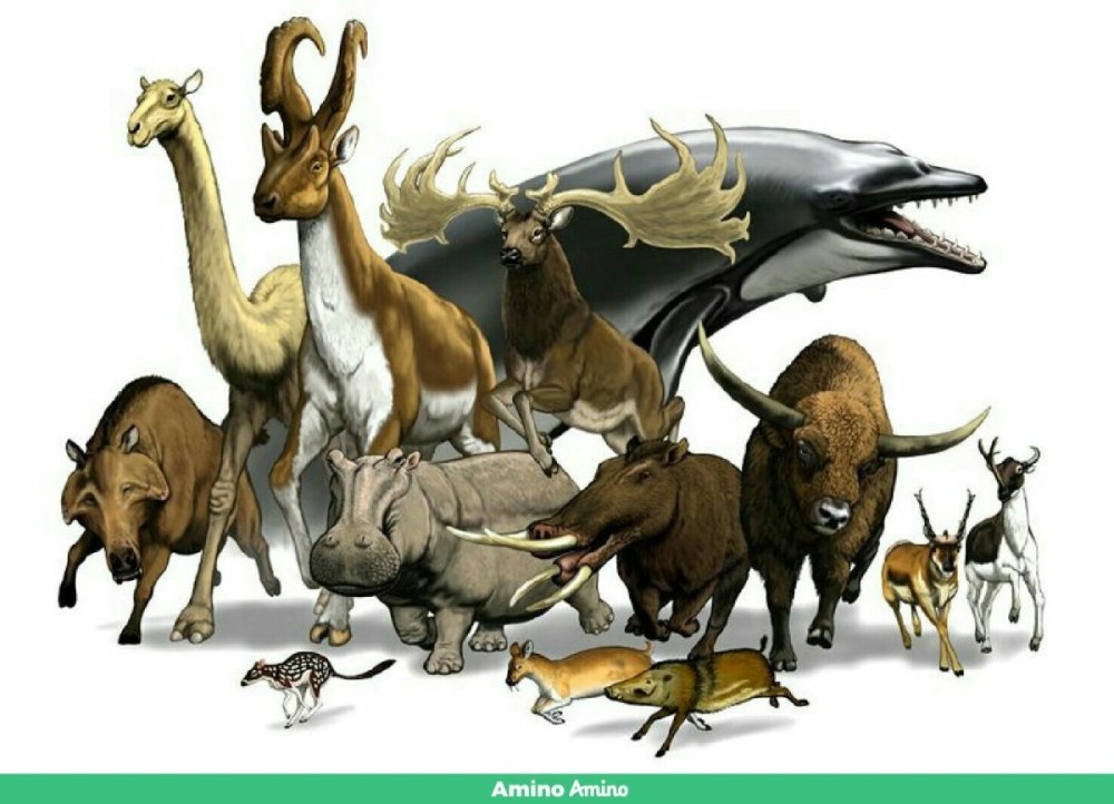 Век млекопитающих age of mammals