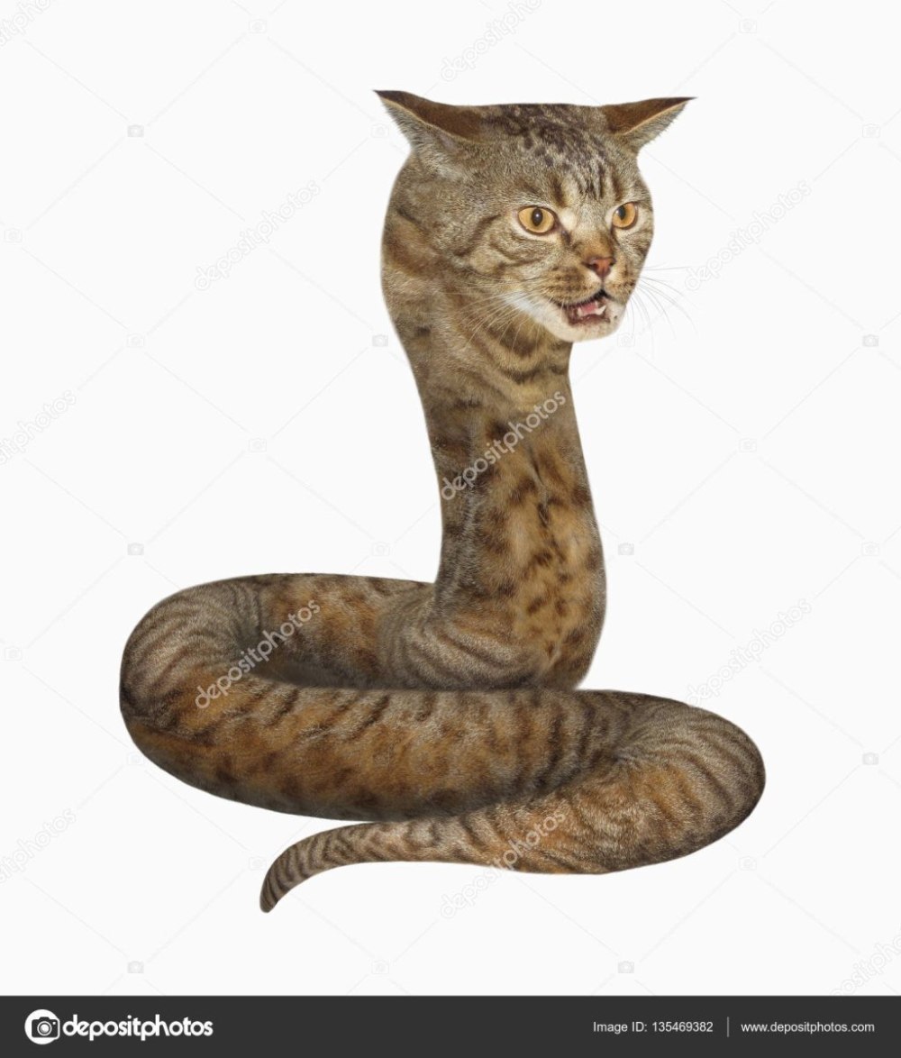 Змея с шерстью