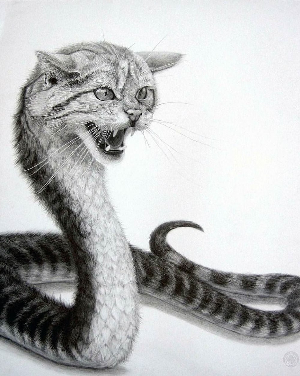 Кошка и змея