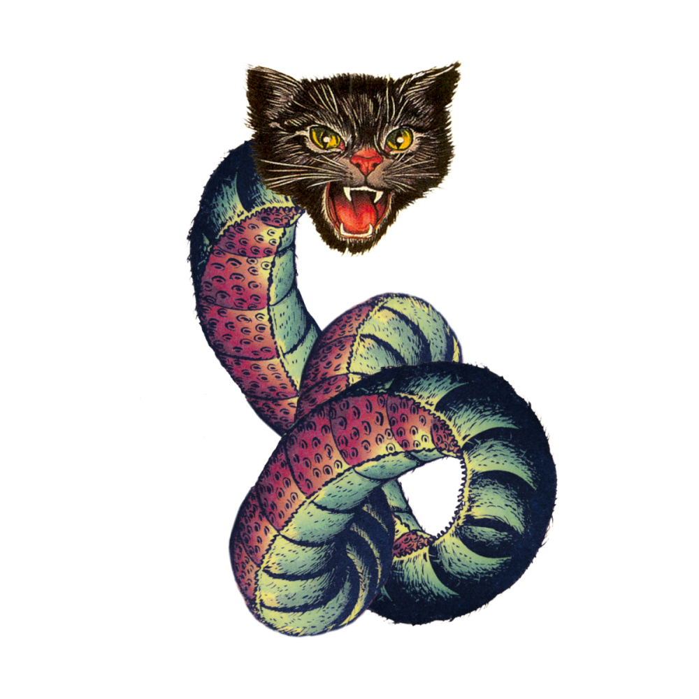 Кошка и змея
