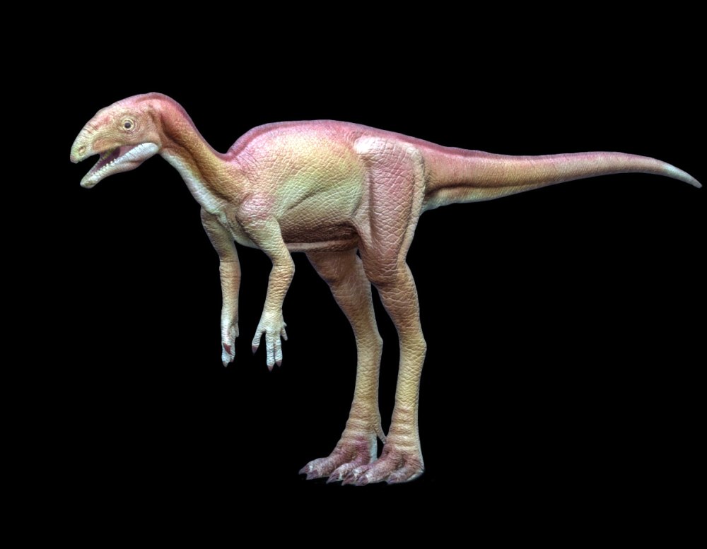 Lesothosaurus diagnosticus