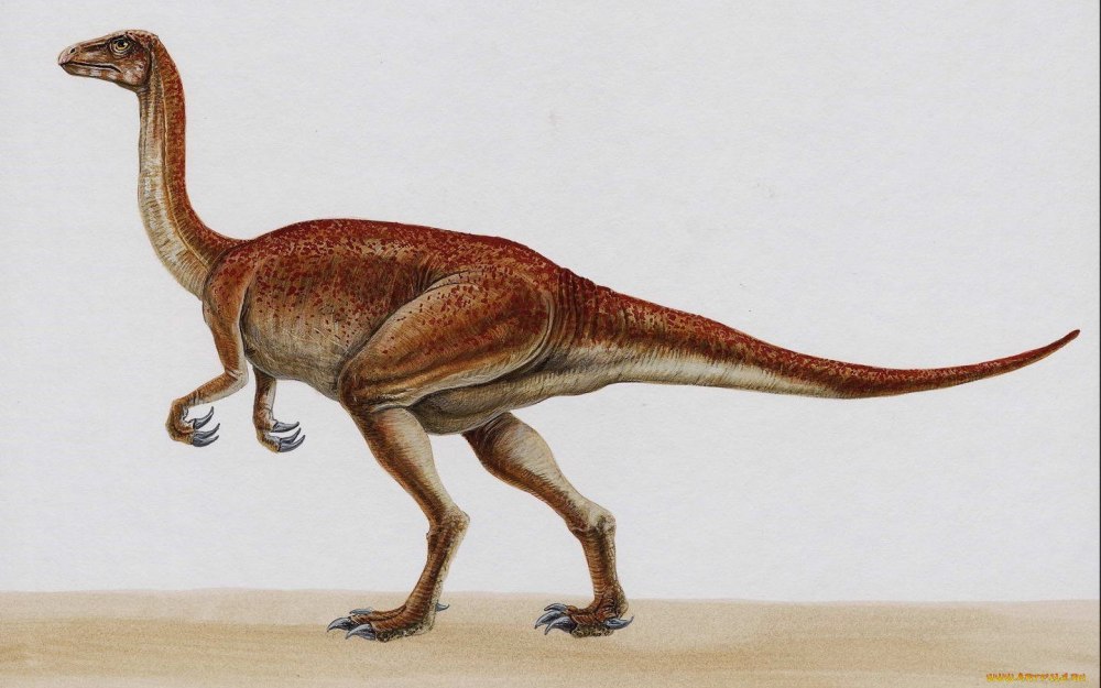 Segnosaurus galinensis