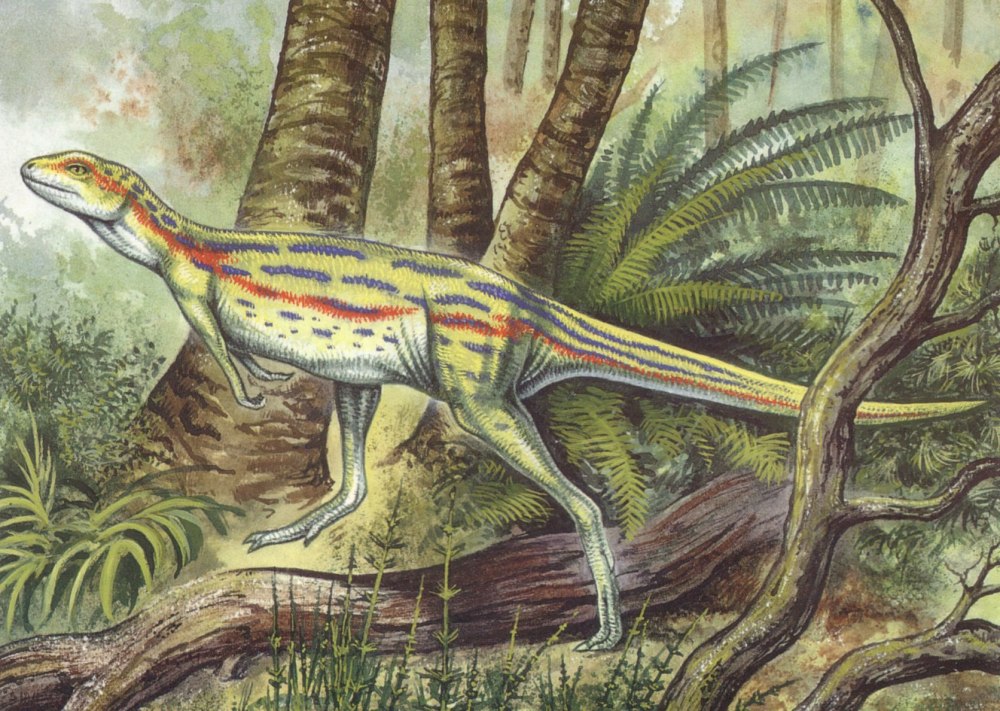 Lesothosaurus diagnosticus