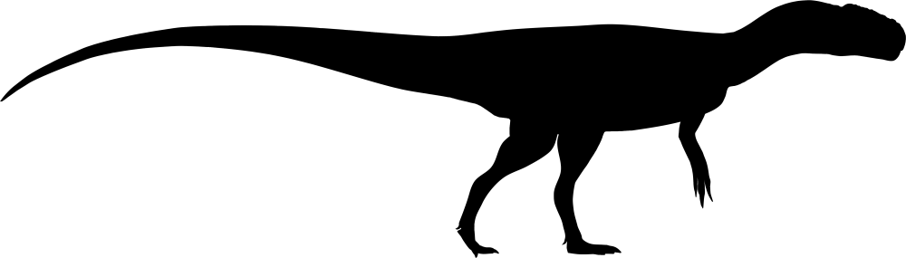 Chuandongocoelurus primitivus