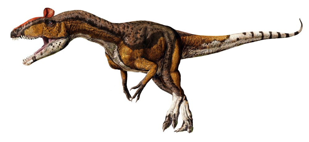 Cryolophosaurus динозавр