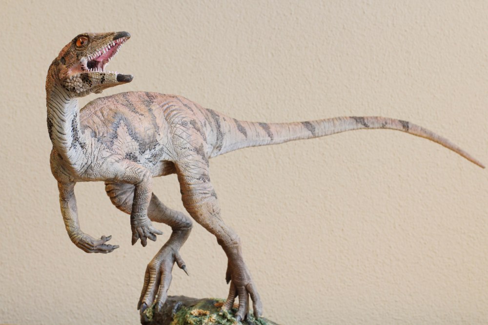 Laquintasaura venezuelae