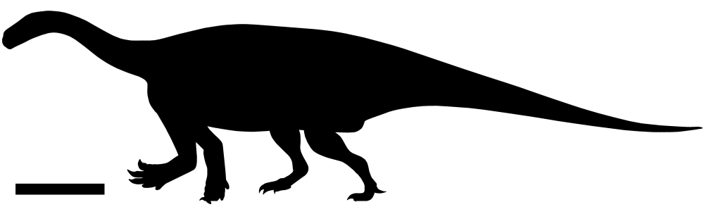 Antetonitrus ingenipes