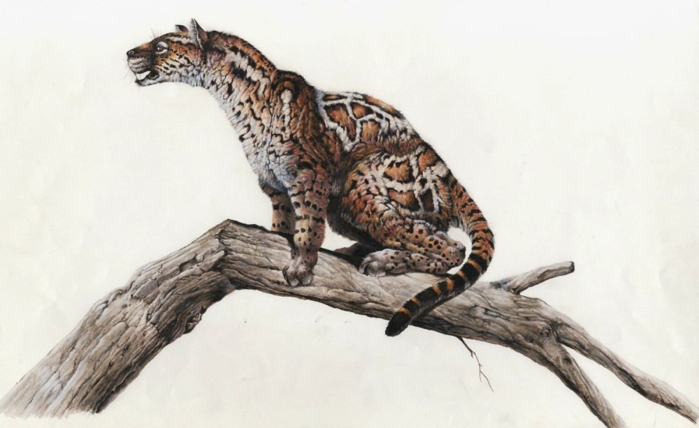 Proailurus lemanensis