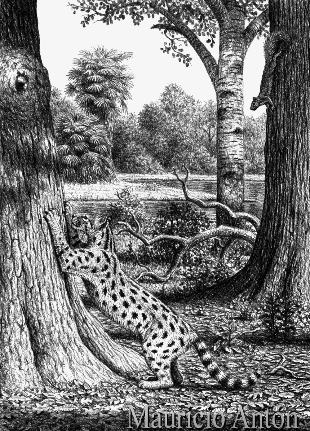 Proailurus lemanensis
