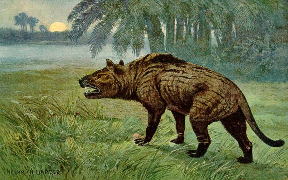 Доисторические хищники Гиенодон