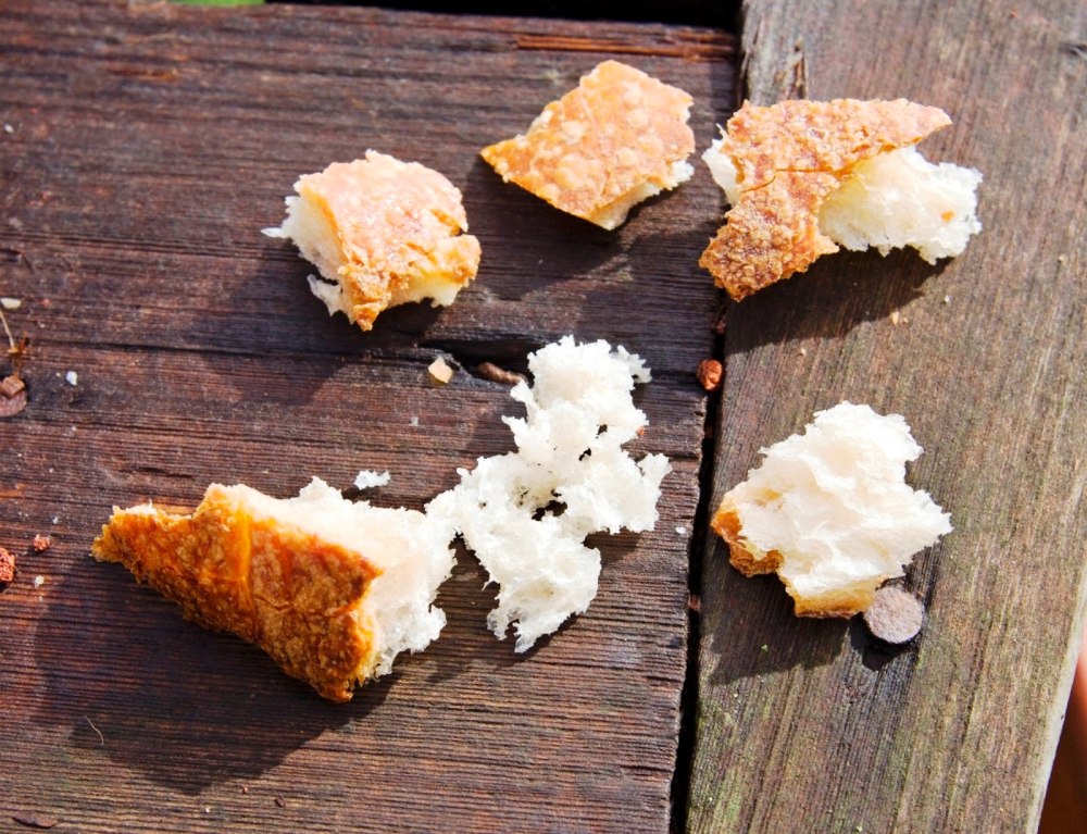 Хлебные крошки