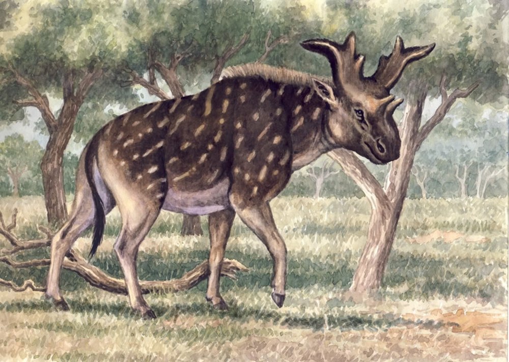 Sivatherium giganteum