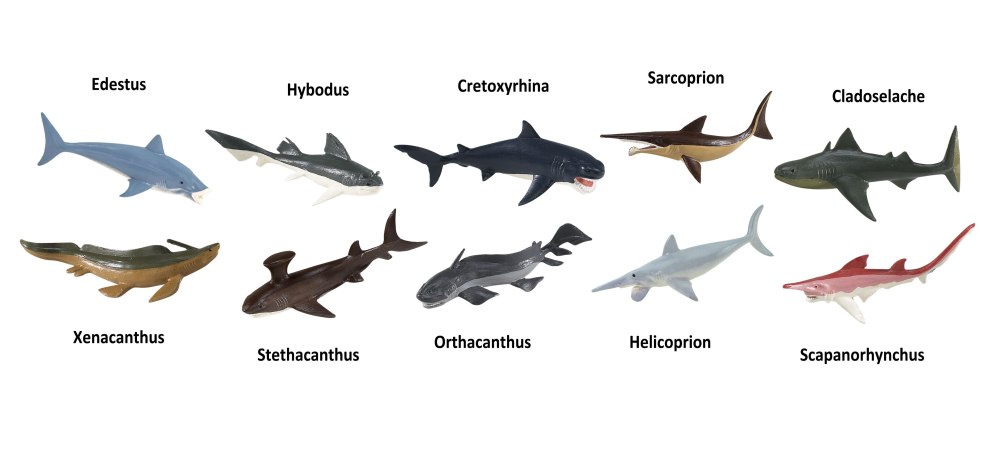 Helicoprion и Xenacanthus