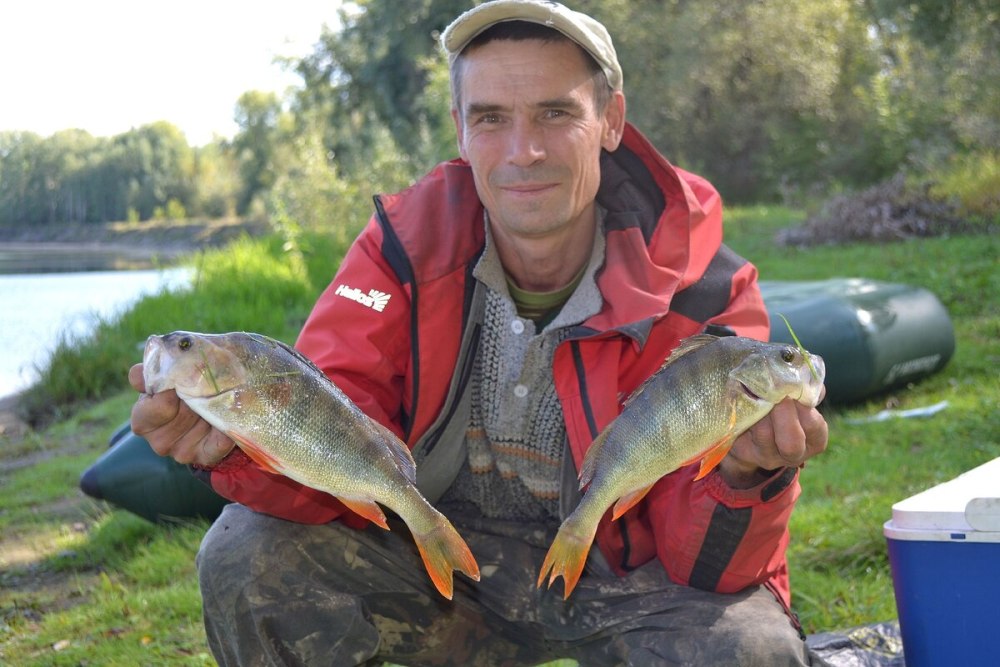 Окунь на 2.5 кг
