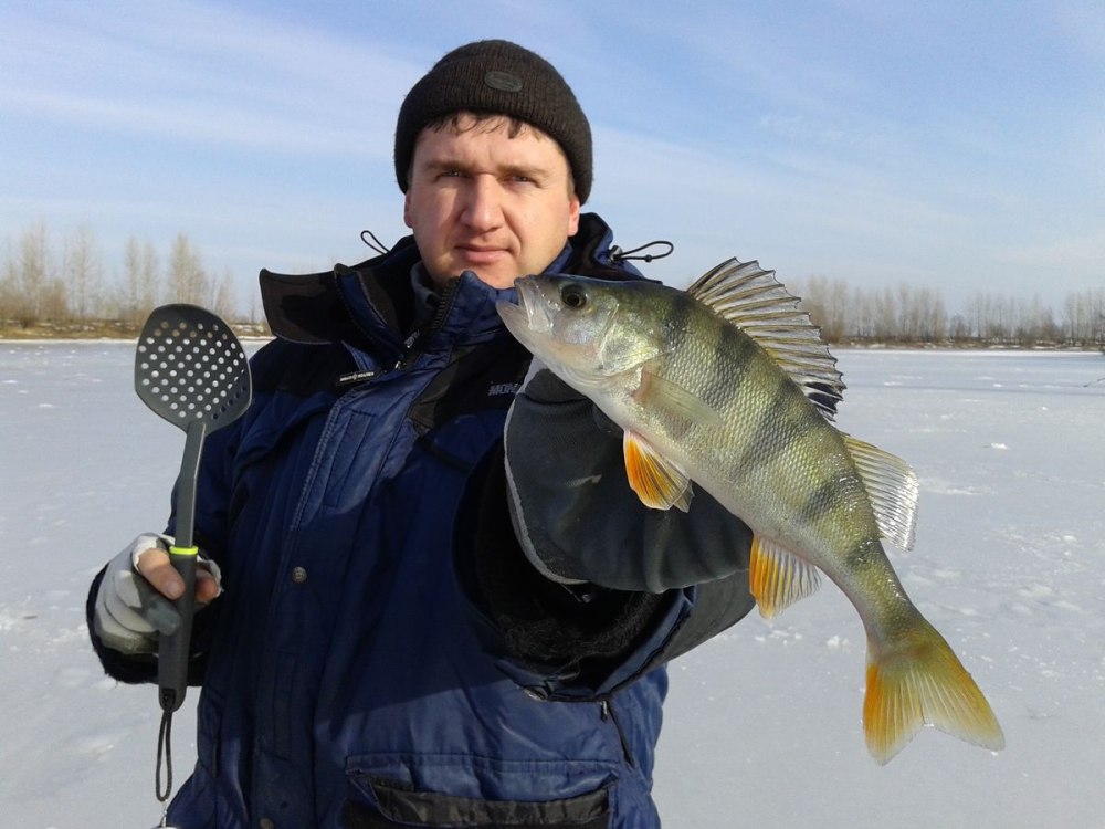 Окунь 13 см