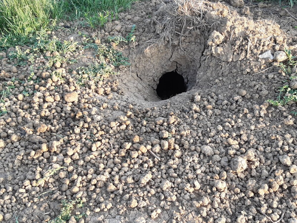 Запасные Норы