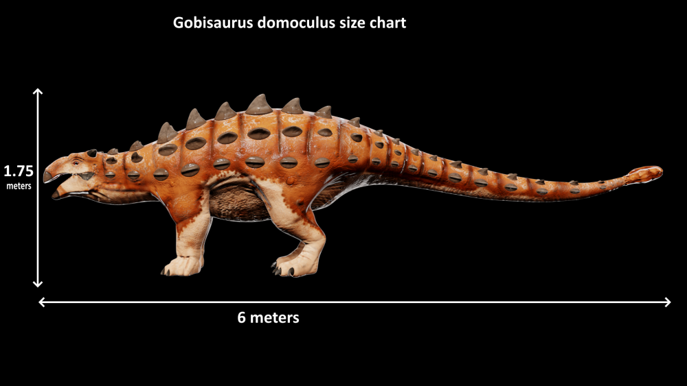 Gobisaurus domoculus