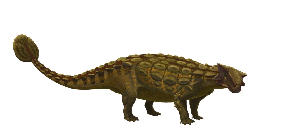 Schleich 15023 Анкилозавр
