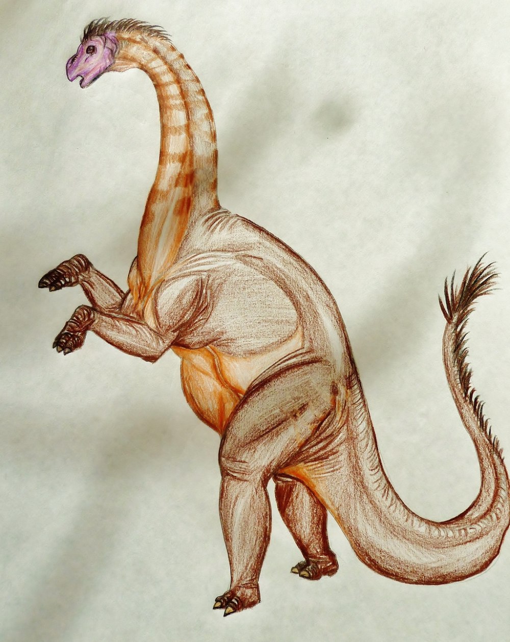 Kotasaurus yamanpalliensis